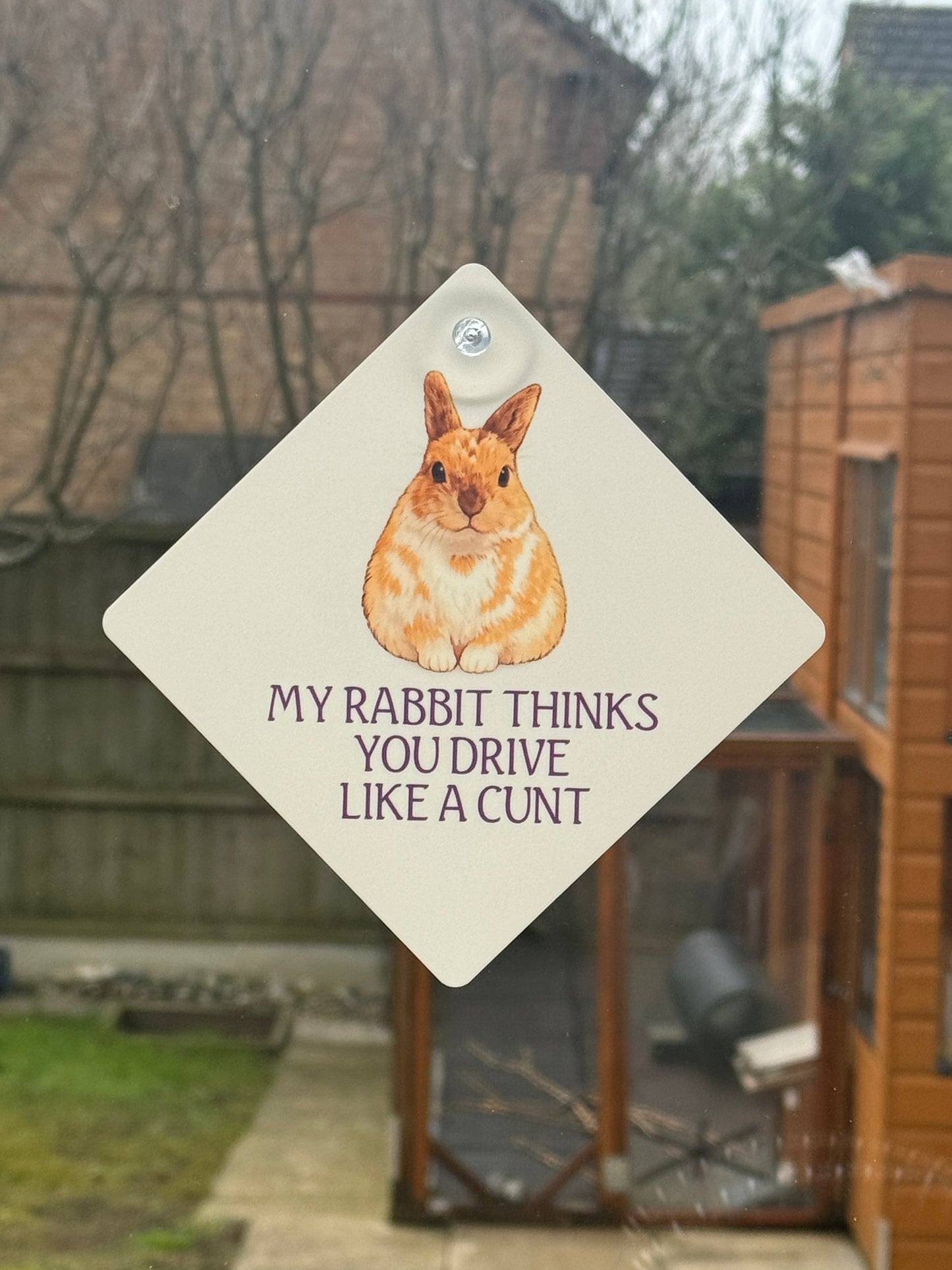 CCRR - My Rabbit Thinks … Harry Car Sign