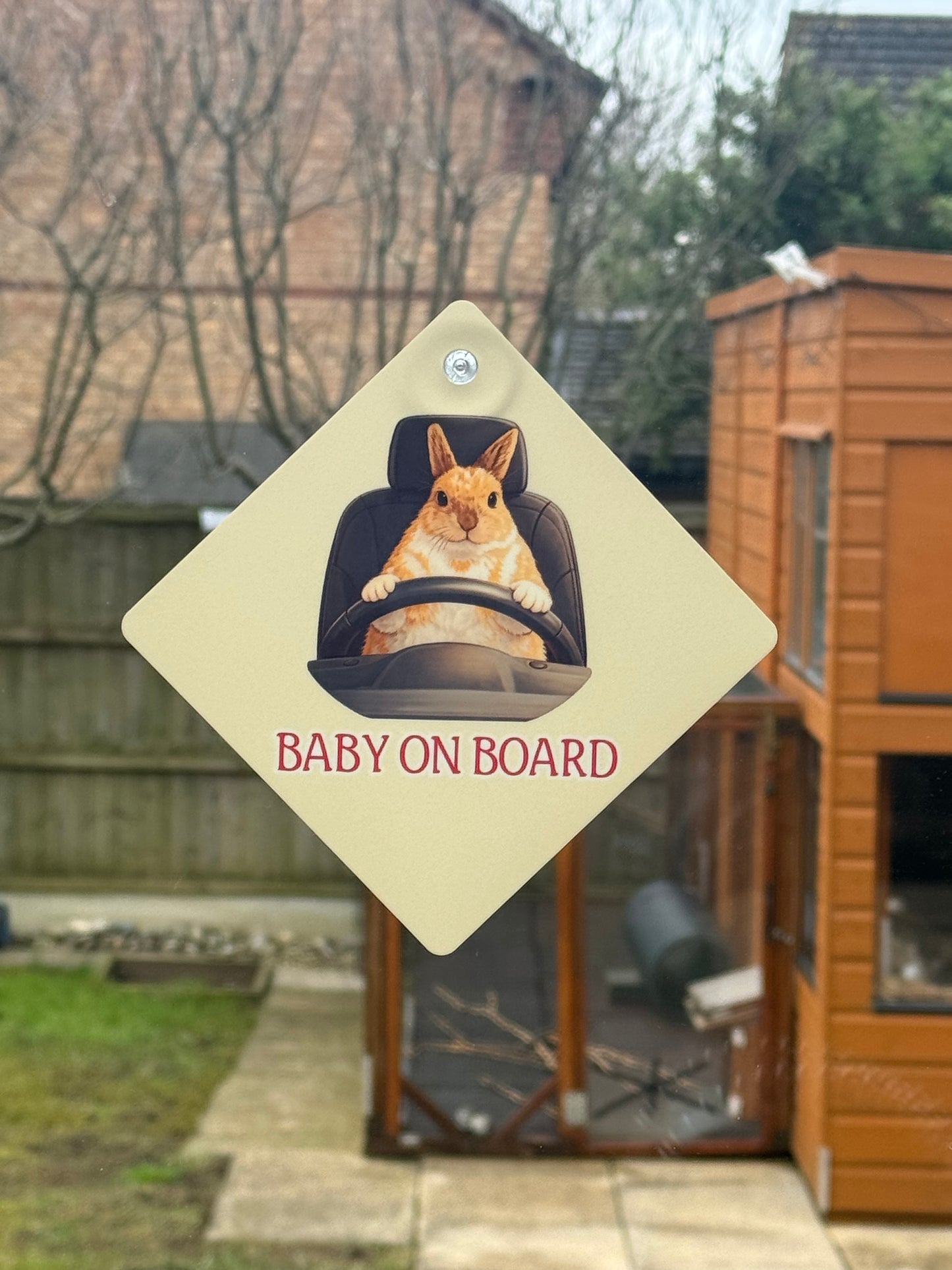 CCRR - Baby on Board - Harry Car Sign