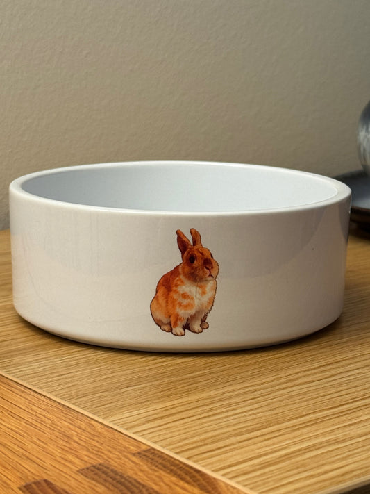 CCRR - Harry - Ceramic Pet Bowl