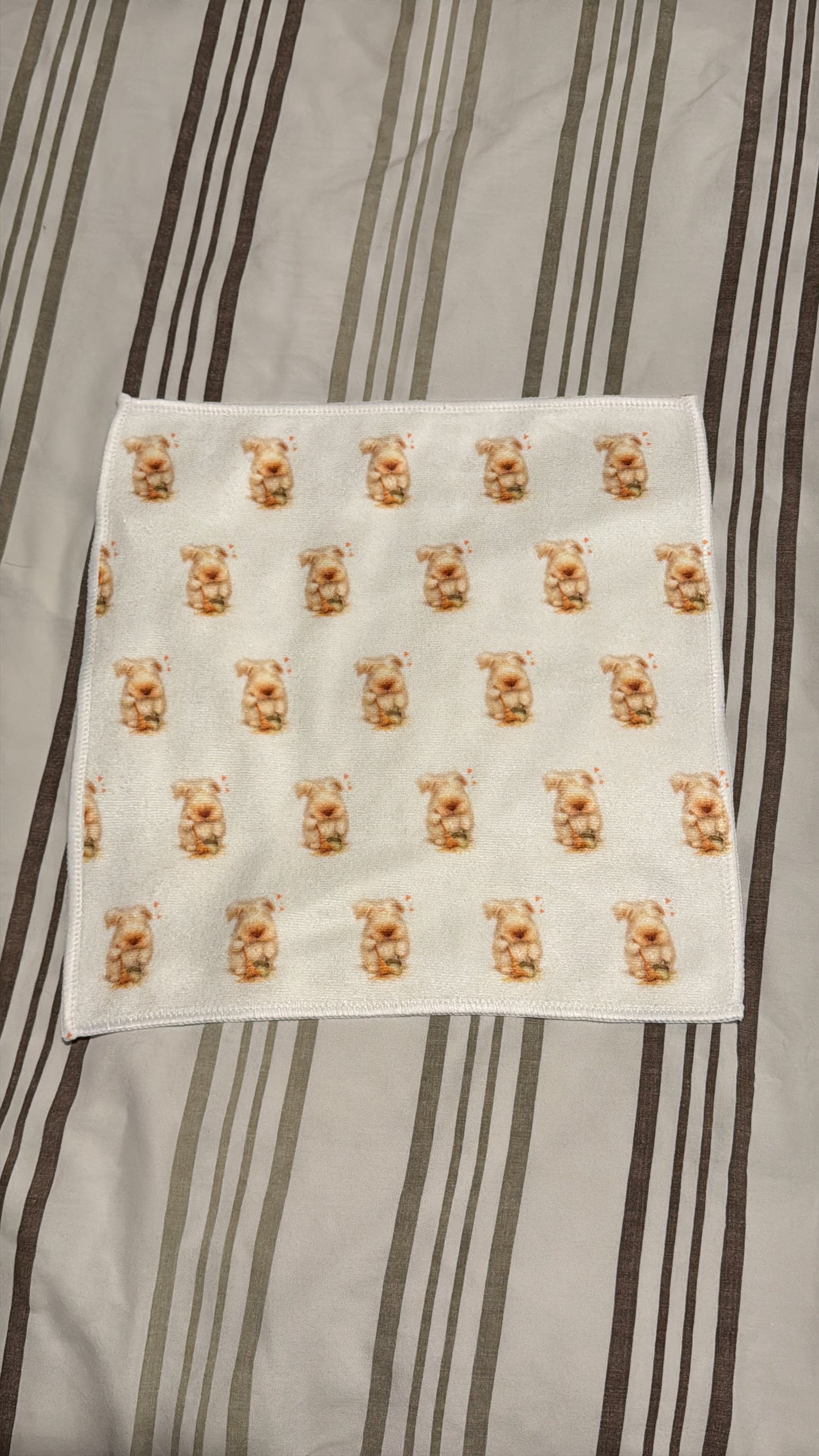 CCRR - Microfibre Cloth