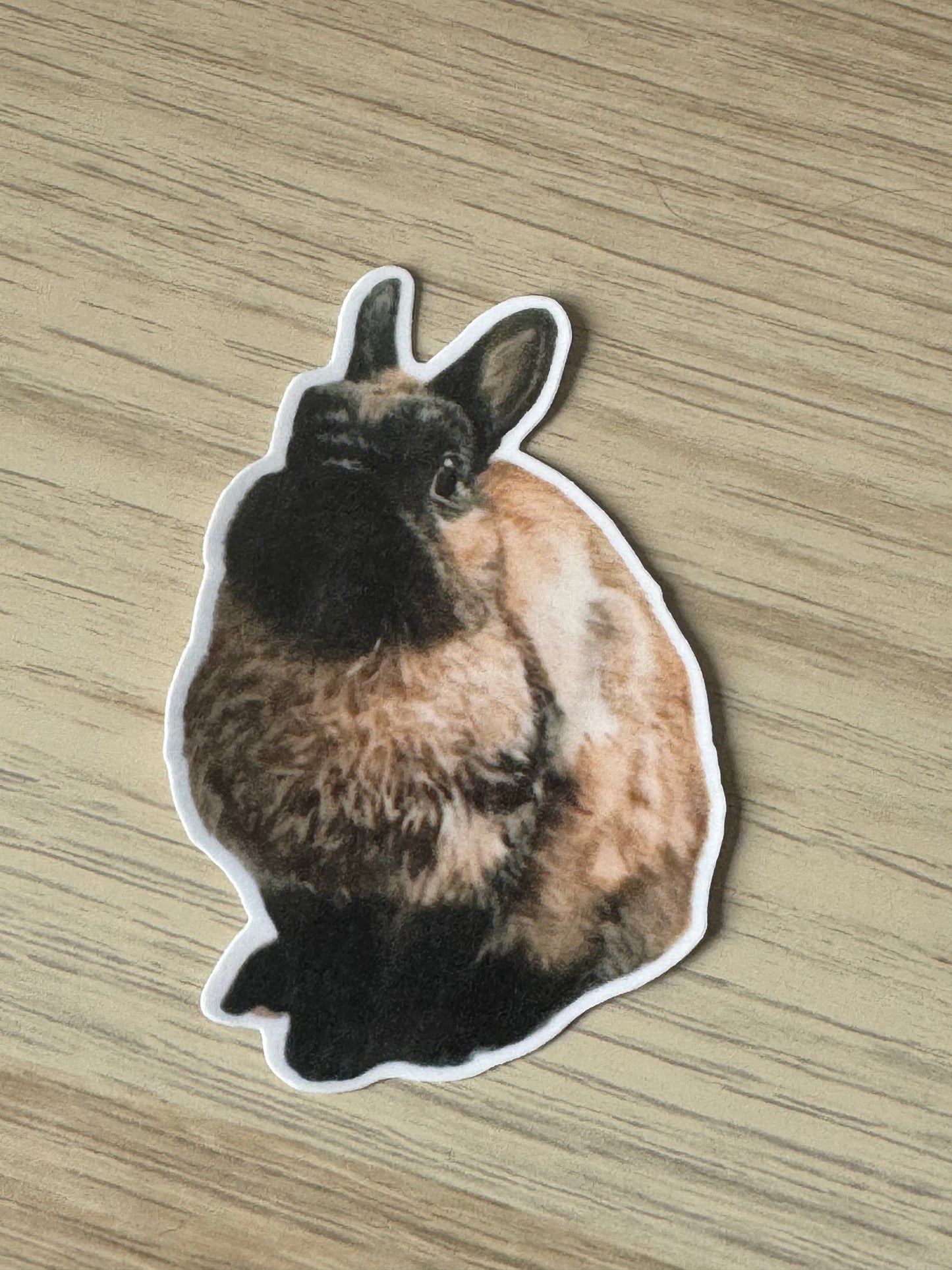 Meredith Bunny