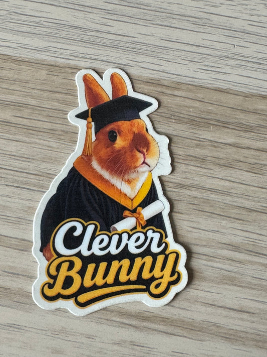 CCRR - Graduation - Harry - Clever Bunny