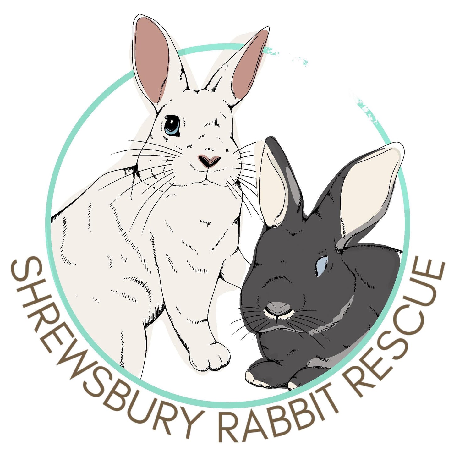 Fundraiser for Shrewsbury Rabbit Rescue