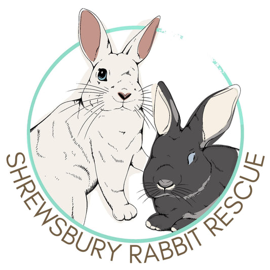 Fundraiser for Shrewsbury Rabbit Rescue
