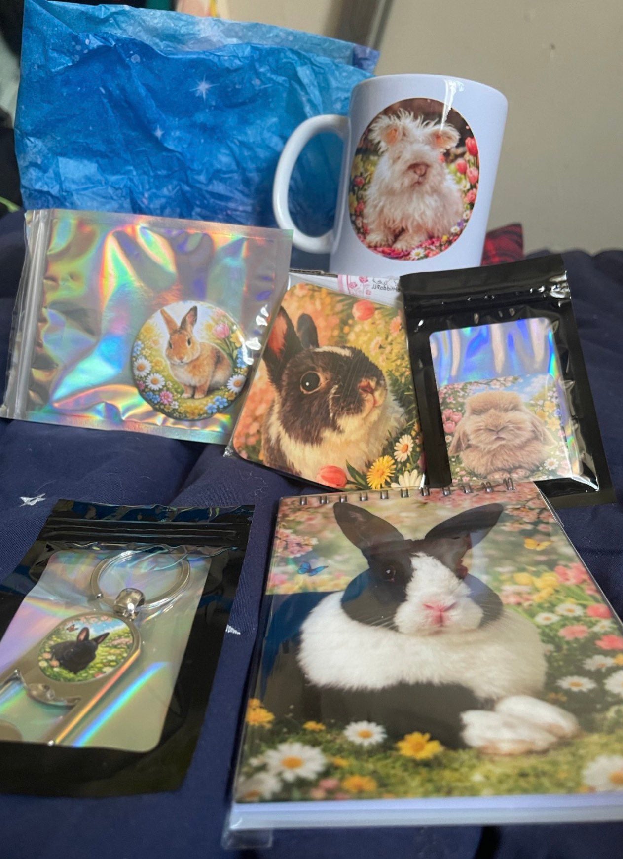 Fundraiser for Carrot Cottage Rabbit Rescue