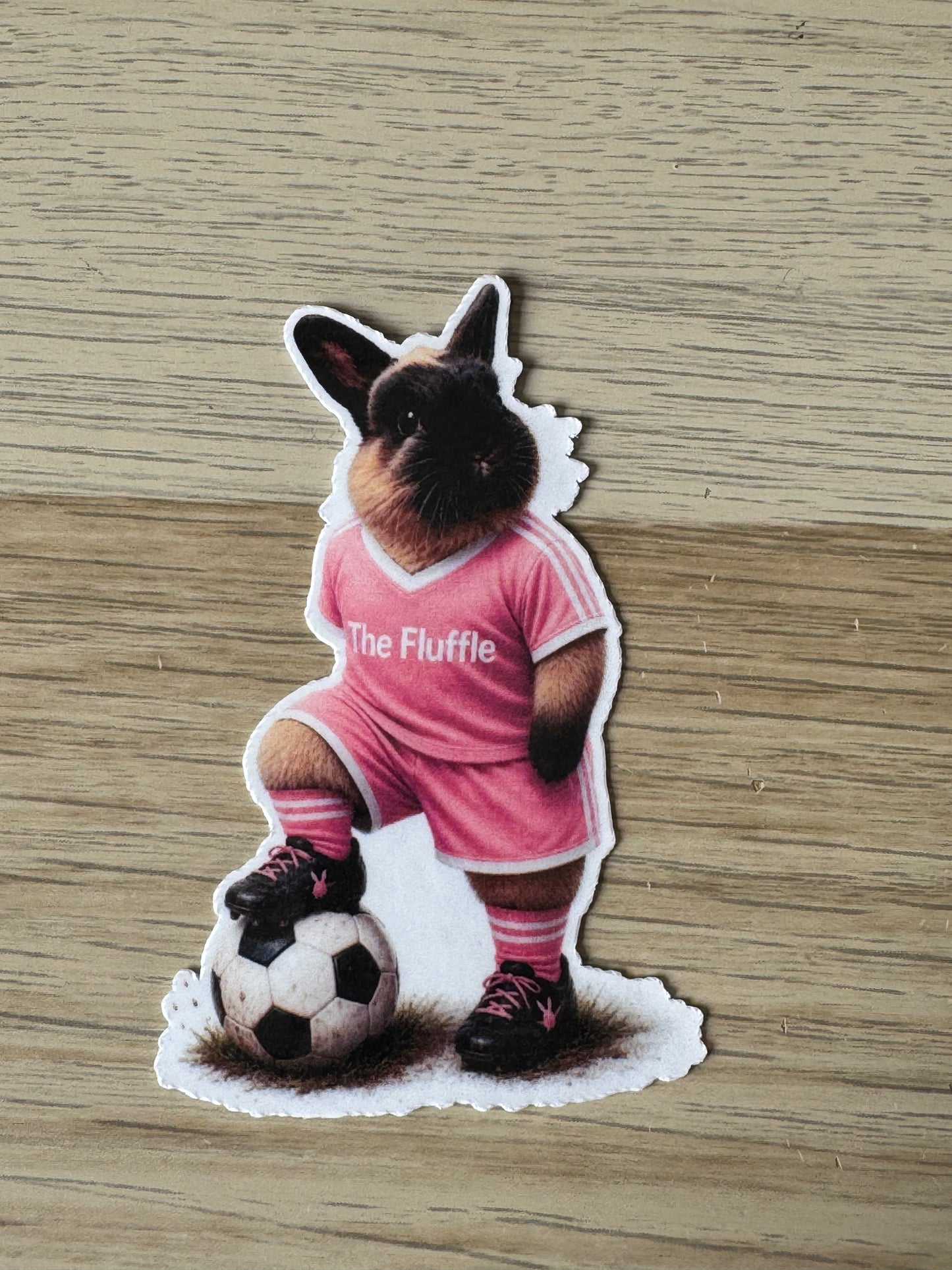 The Fluffle - Football Bunny - Koko