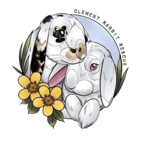 Fundraiser for Clement Rabbit Rescue