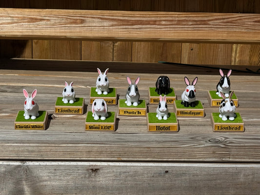 Cute Bunny Figurine Assortment