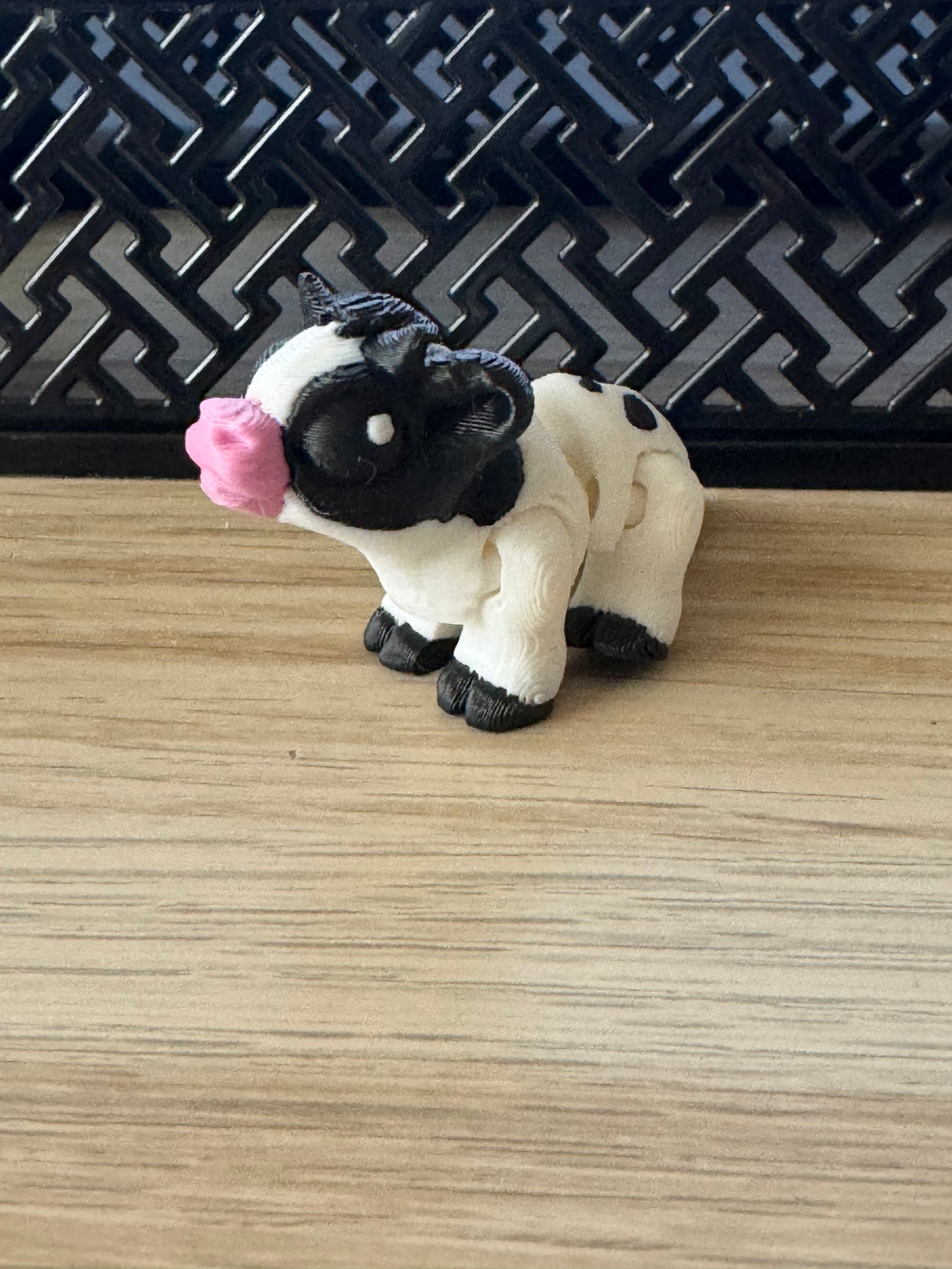 Fidget Toys