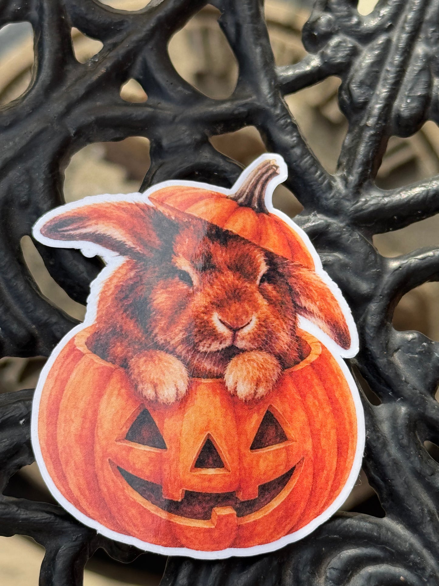 Spooky Buns - Sargeant Fred - Pumpkin