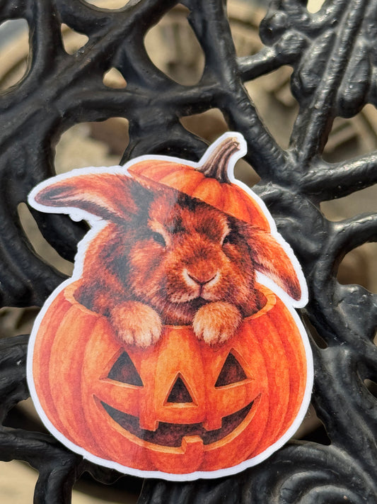 Spooky Buns - Sargeant Fred - Pumpkin