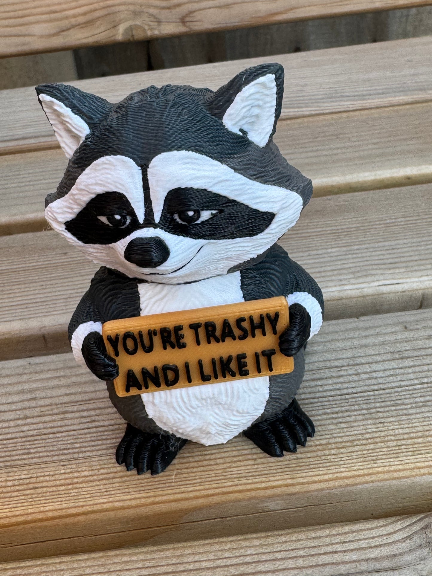 Raccoon - you’re trashy and I like it