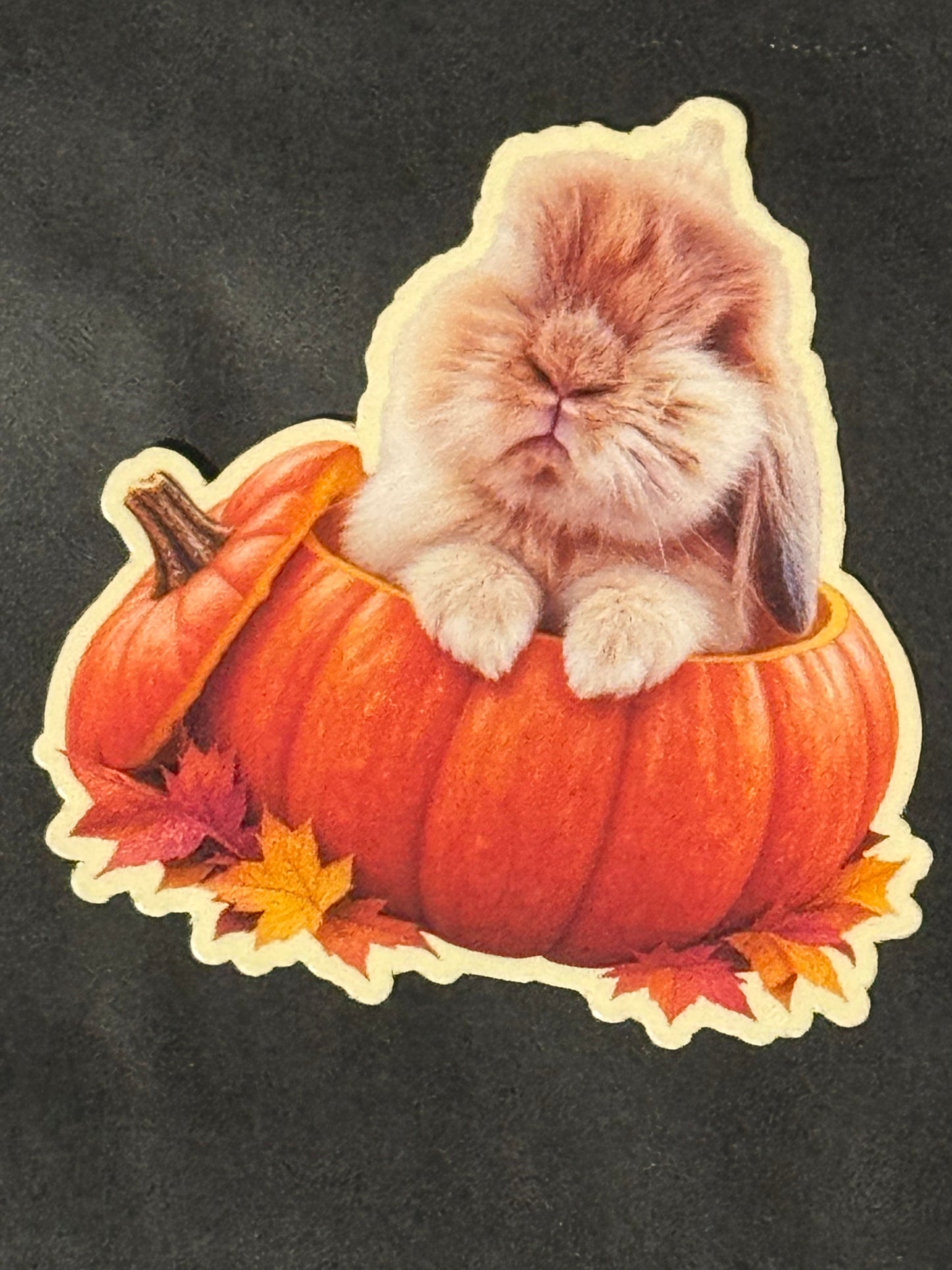 Spooky Buns - Fawn - Pumpkin