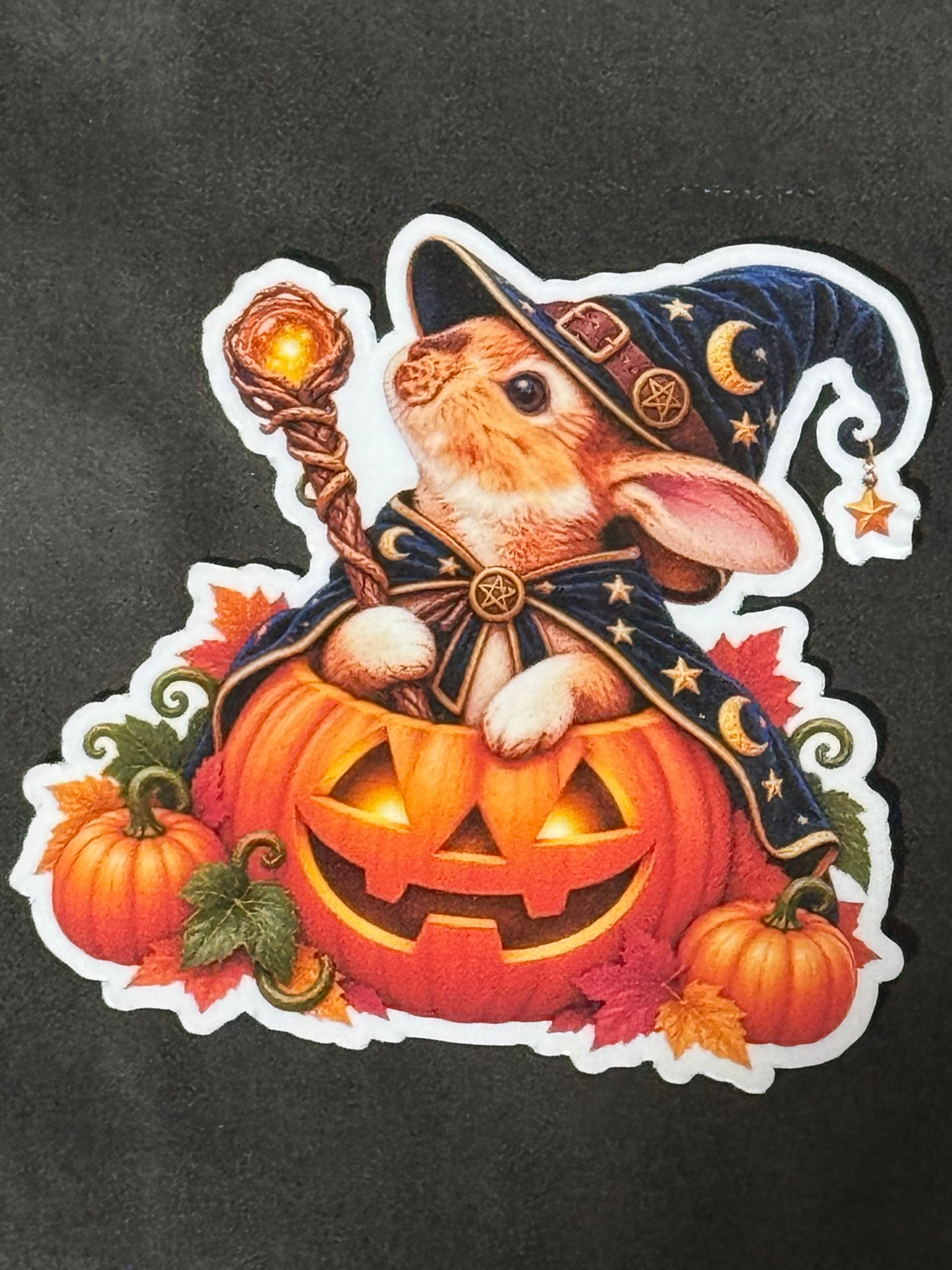 Spooky Buns - Harry - Wizard