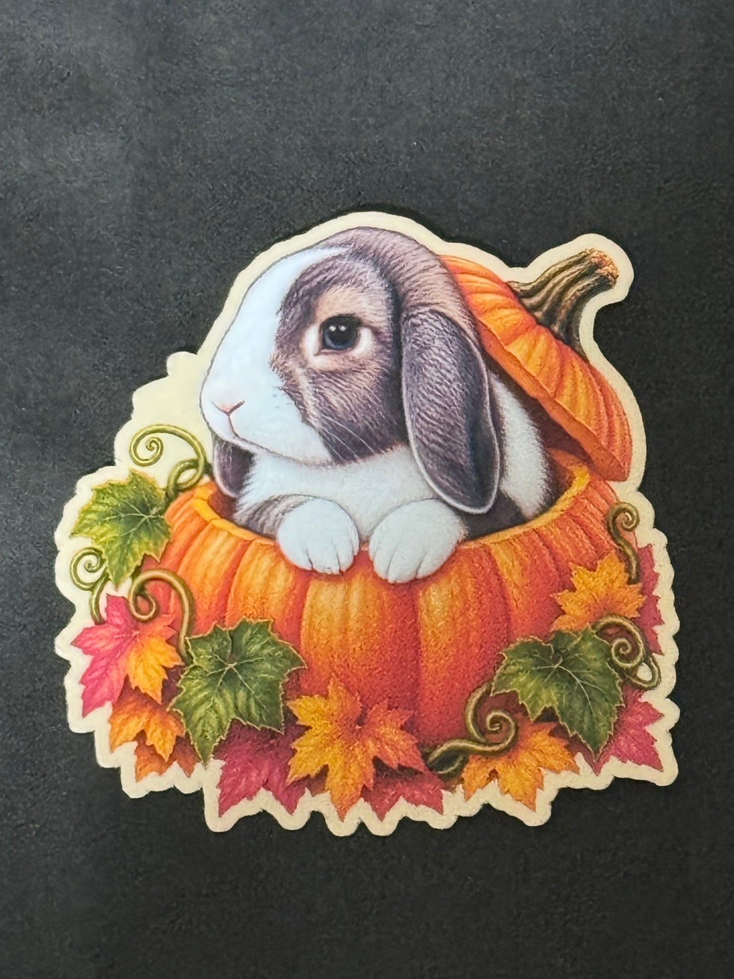 Spooky Buns - Bun Bun - Pumpkin