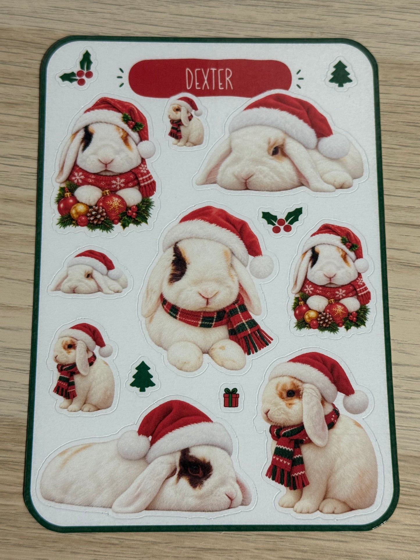 Shrewsbury Rabbit Rescue - Dexter Sticker Sheet
