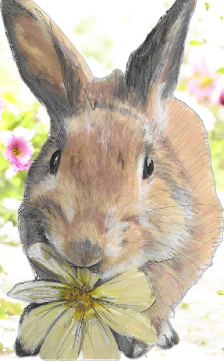 Carrot Cottage Rabbit Rescue - Linda - by Fiona
