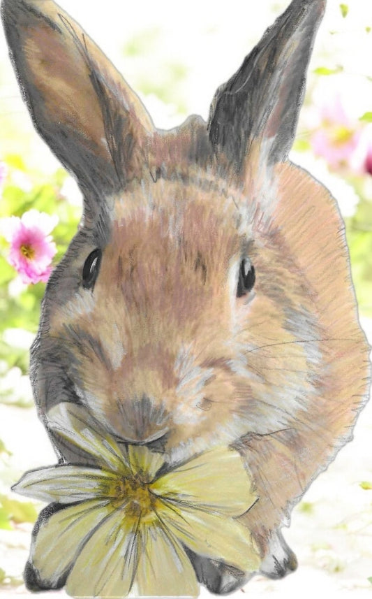 Carrot Cottage Rabbit Rescue - Linda - by Fiona