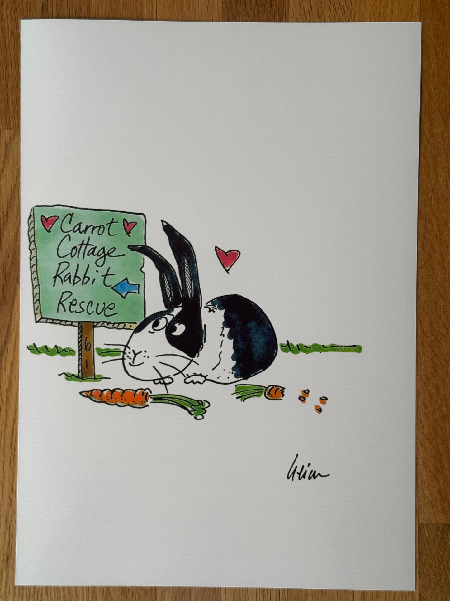 Carrot Cottage Rabbit Rescue - Robert