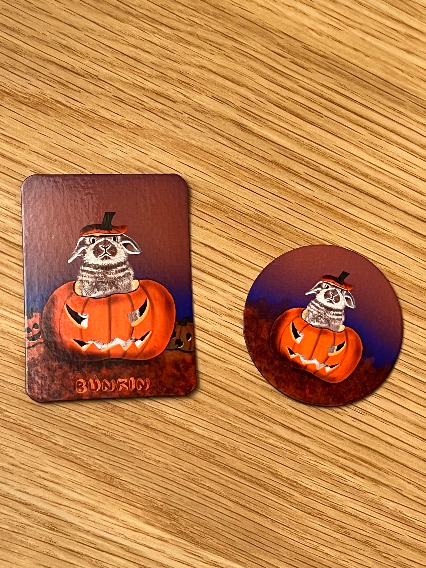 Cute Halloween Bunny Rabbit Magnets