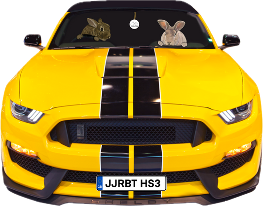 JJRH JJ and Hettie Mustang