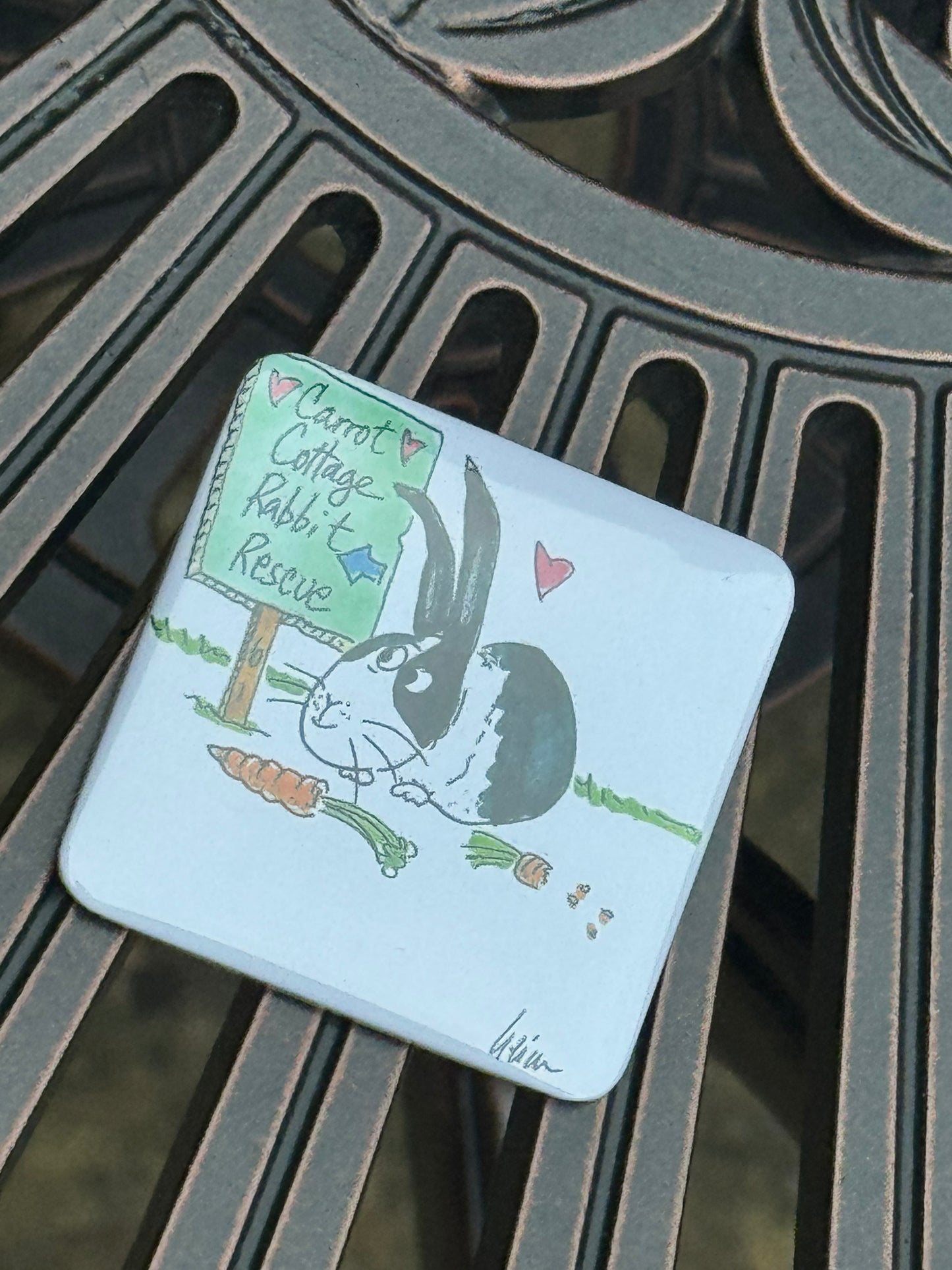 Carrot Cottage Rabbit Rescue - Robert