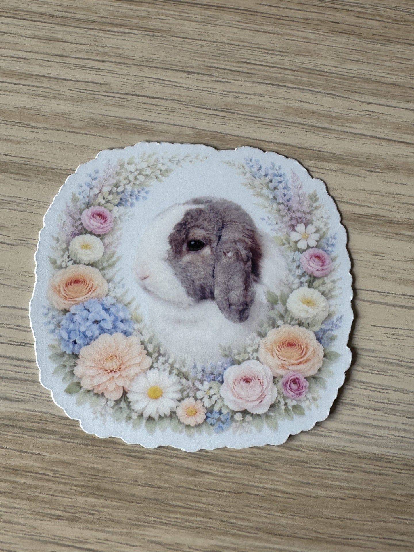 CCRR - Bun Bun